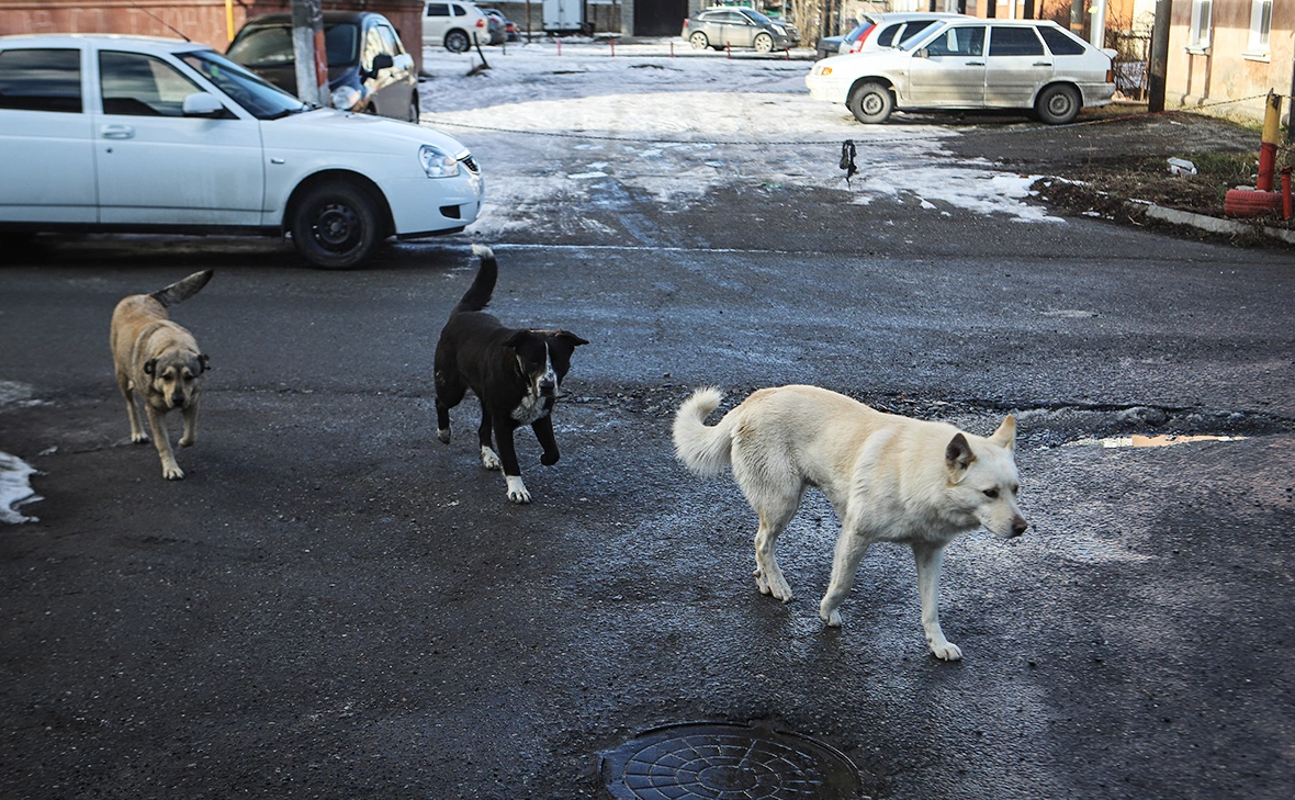 Денис Абрамов / РИА Новости