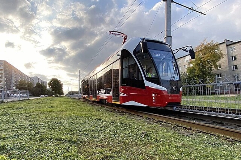 Никита Кривоногов