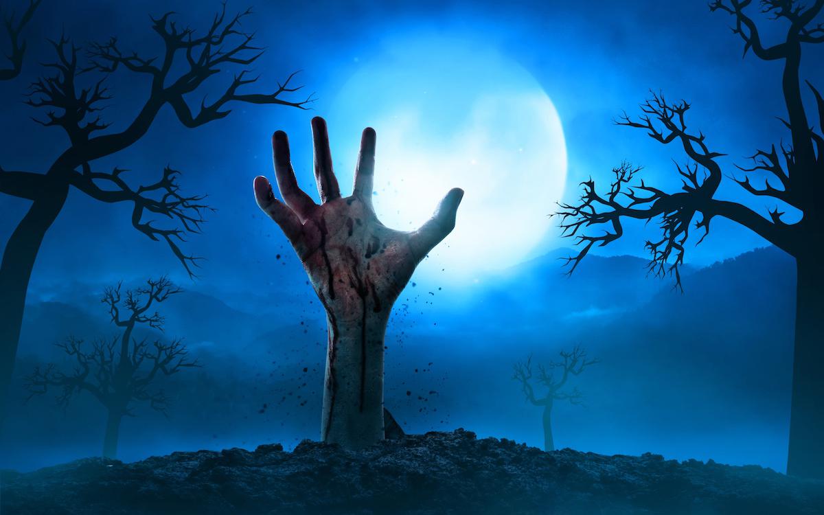 Фото:Shutterstock