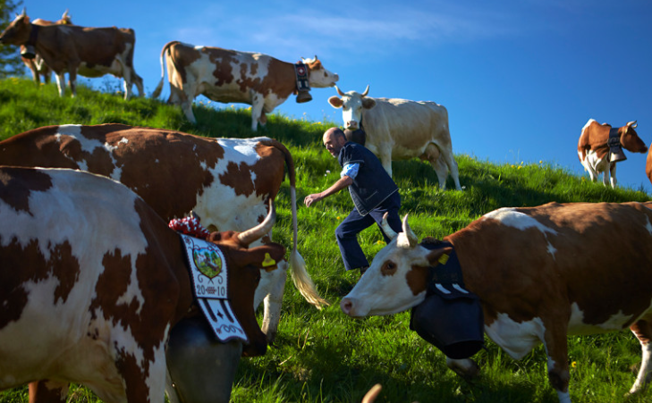 Фото: Denis Balibouse / Reuters