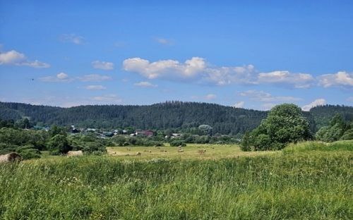 Фото: министерство имущественных и земельных отношений Карелии/ vk.com