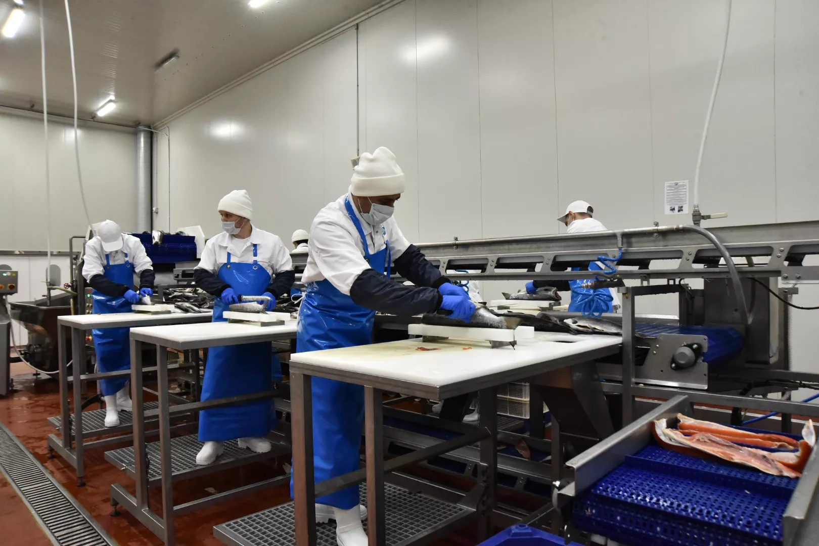 пресс-служба правительства Новосибирской области