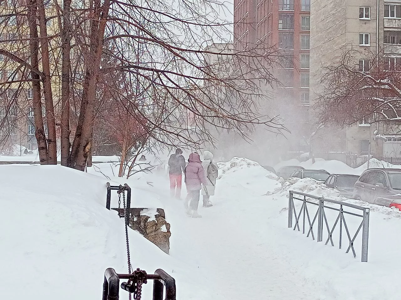 РБК Новосибирск