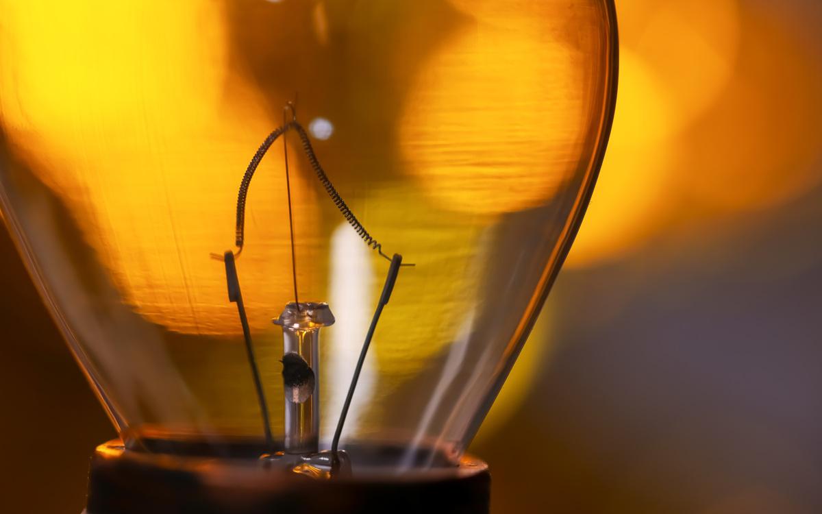 Фото: Shutterstock