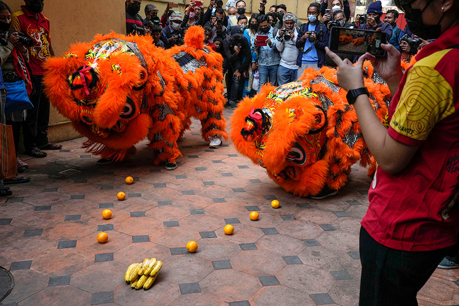 Калькутта, Индия. Исполнители танца льва собирают фрукты, подаренные зрителями