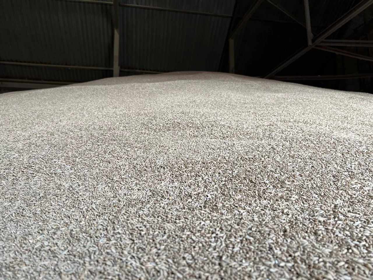 РБК Татарстан