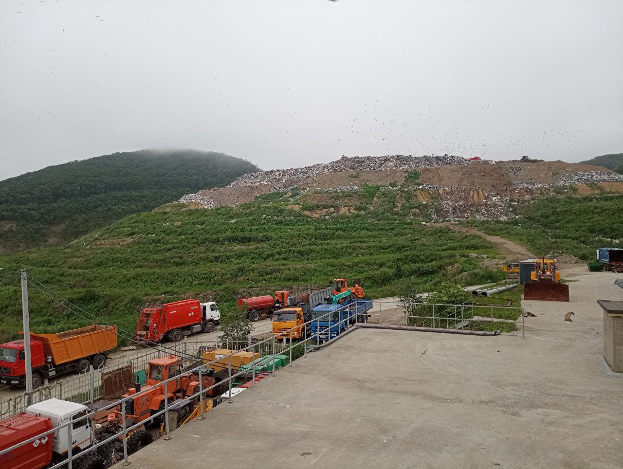 Фото: РБК Приморье