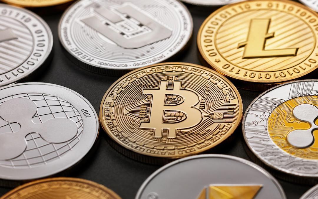 Фото: Shutterstock