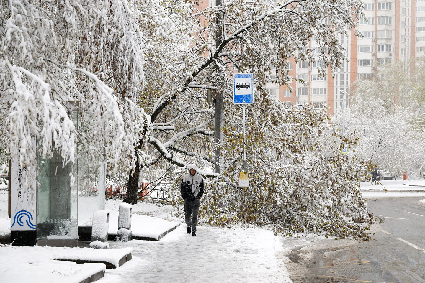 Фото: Светлана Нафикова / Агентство «Москва»