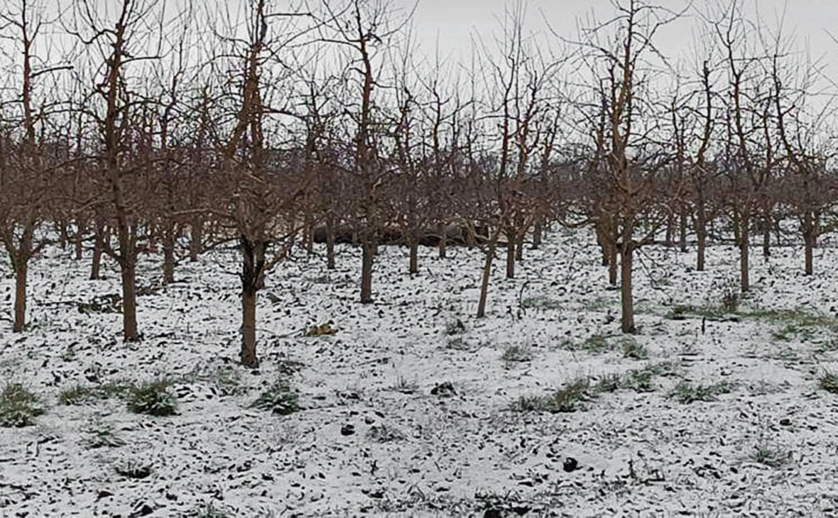 Poliția Republicii Moldova