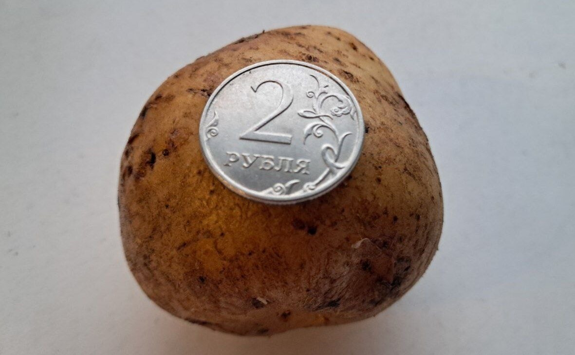 Фото: РБК Мурманск