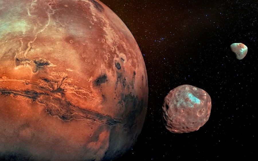 Фото: Shutterstock