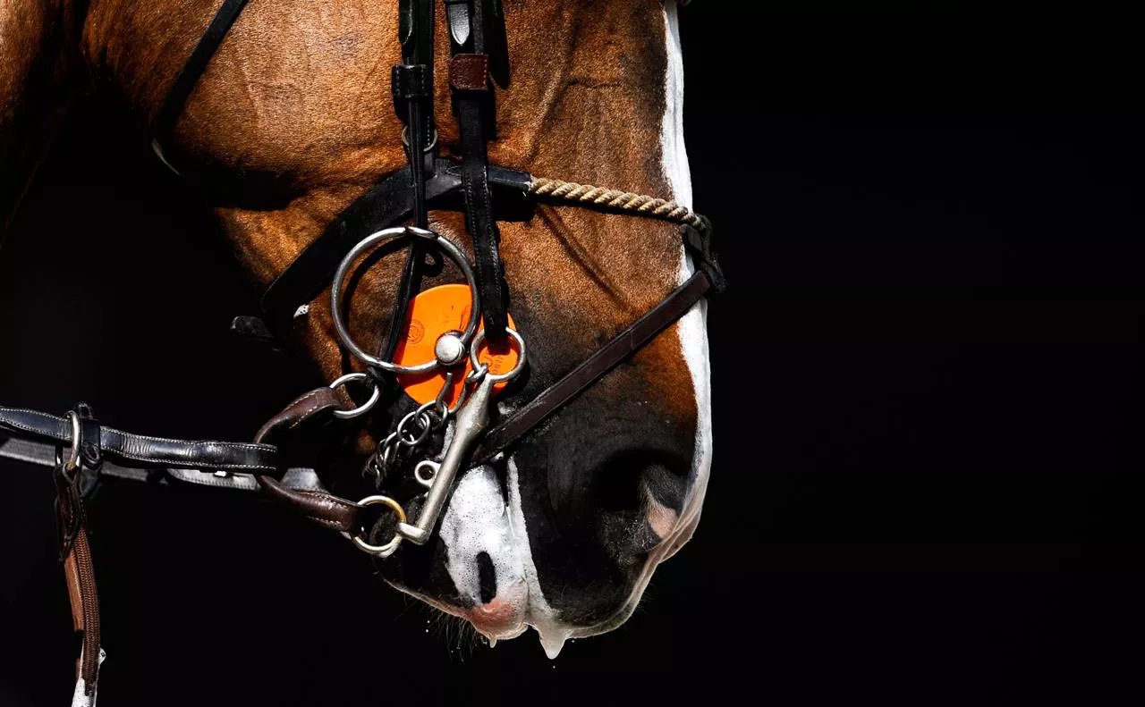 David Ramos / Getty Images