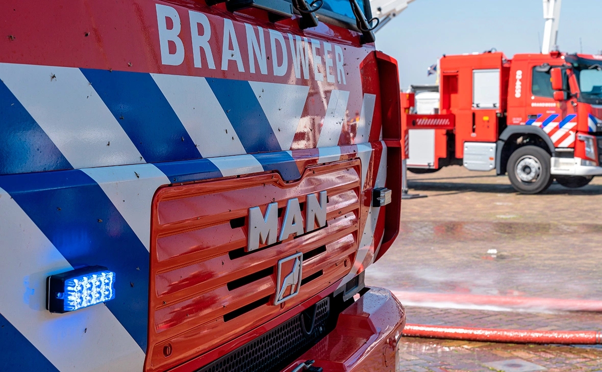 Bjoern Wylezich / Shutterstock