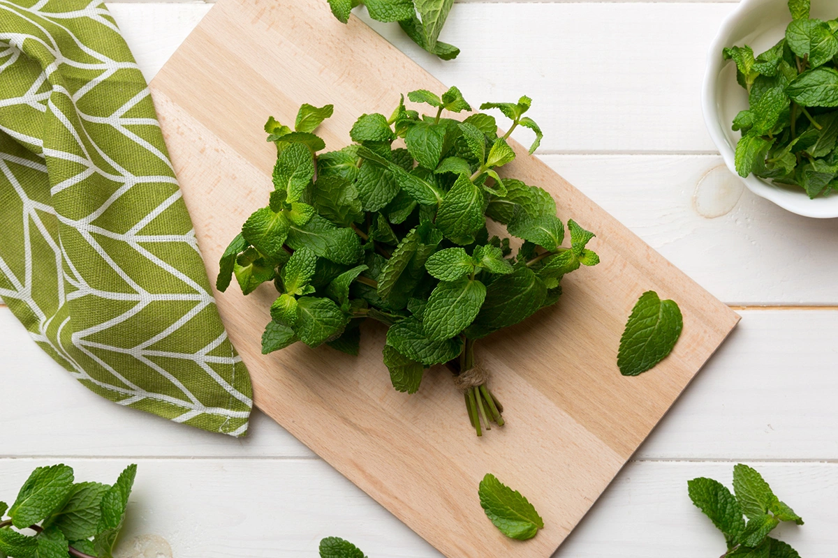 Длительное кипячение мяты делает ее вкус горьким и убивает аромат