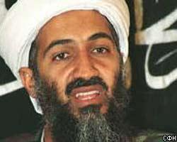 NYM: Весной США начнут поиски бен Ладена в Пакистане