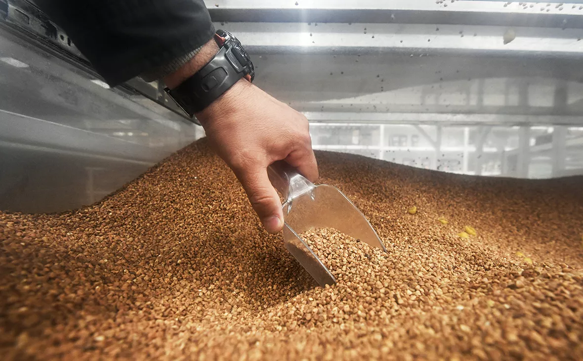 Константин Михальчевский / РИА Новости