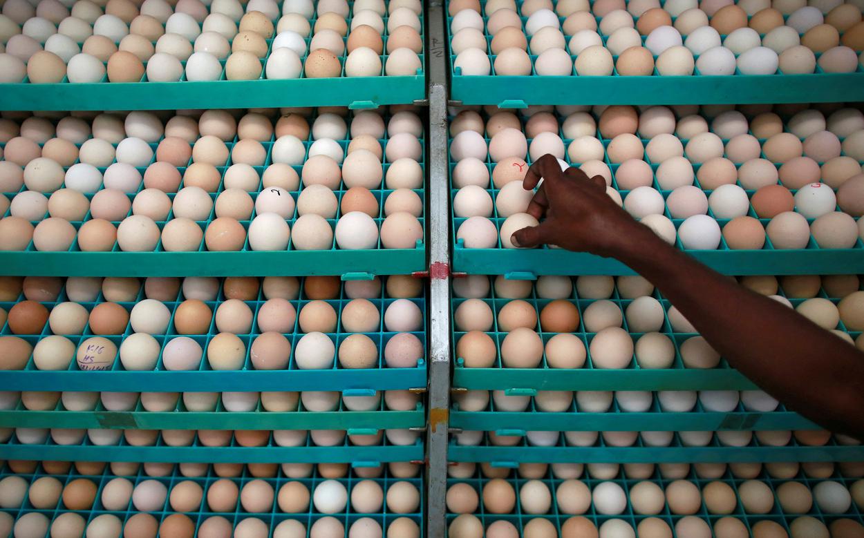 В США Kraft и Nestle добились возмещения ущерба из-за высоких цен на яйца