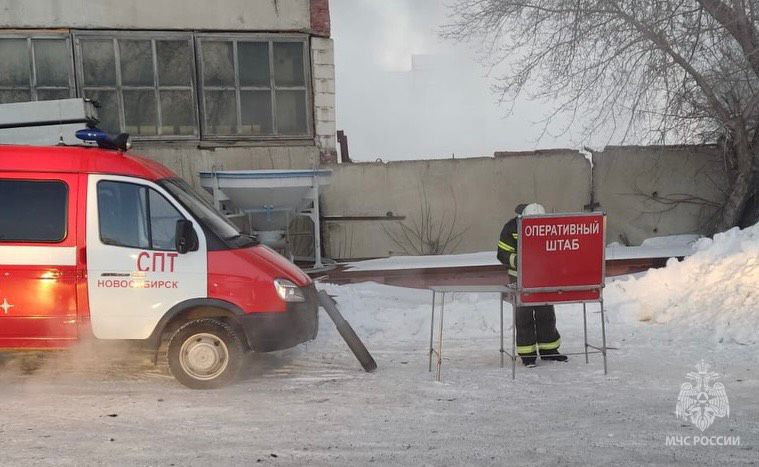 Фото: пресс-служба ГУ МЧС по Новосибирской области