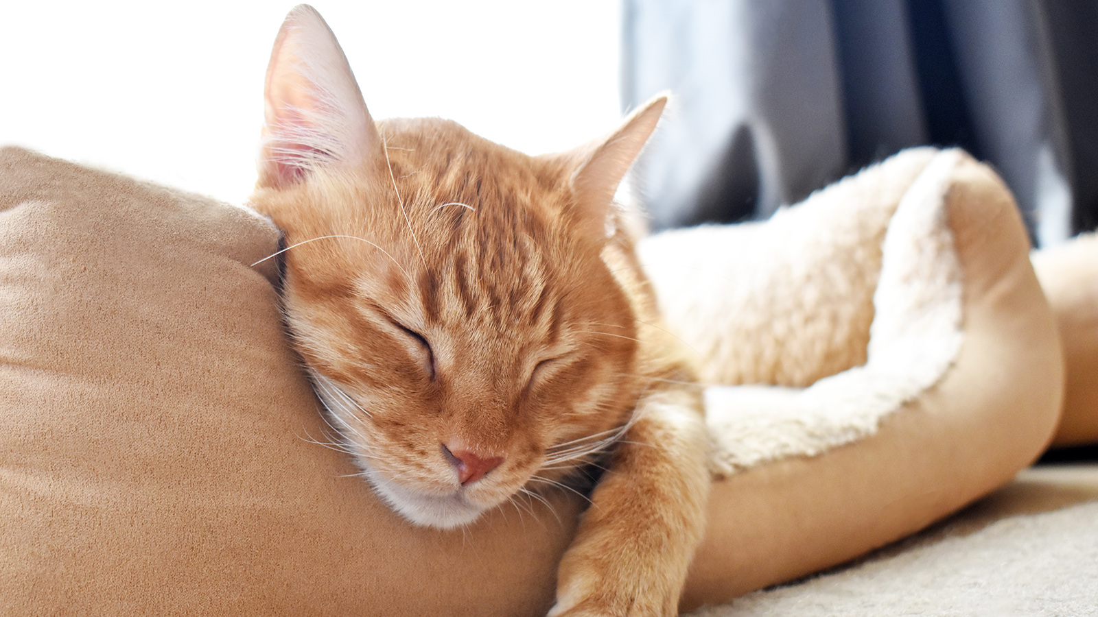 Возвращение к привычному уровню активности и завершение реабилитации происходят в течение двух недель