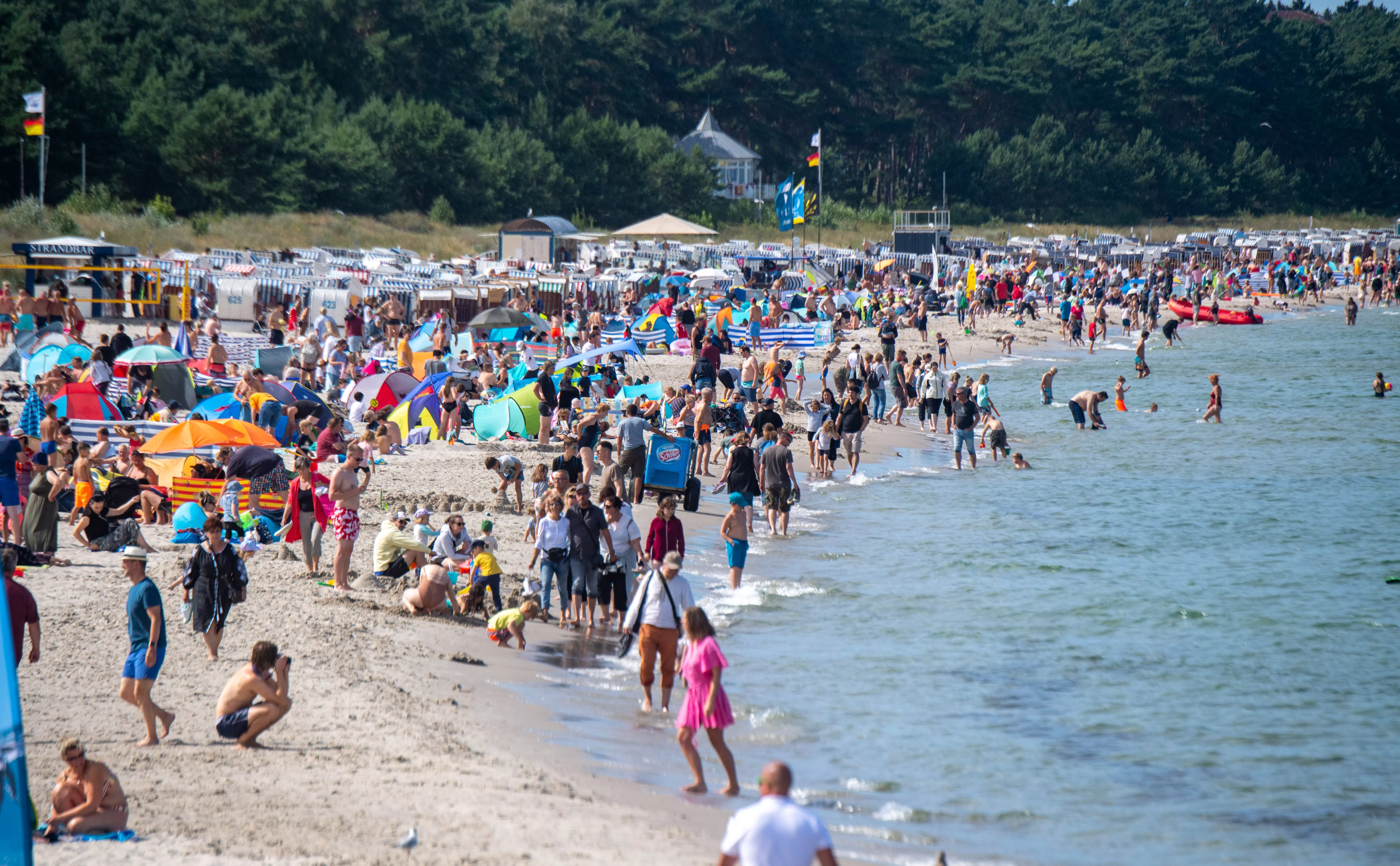 Stefan Sauer / dpa / ТАСС