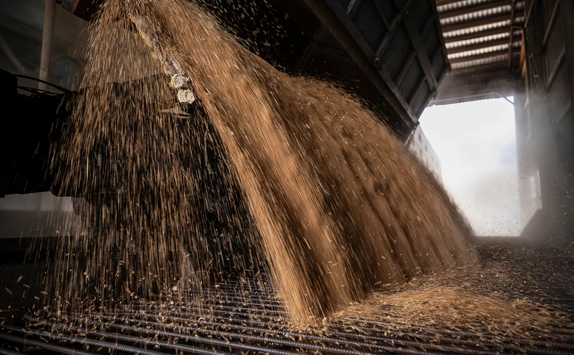 Вячеслав Ратинский / Reuters