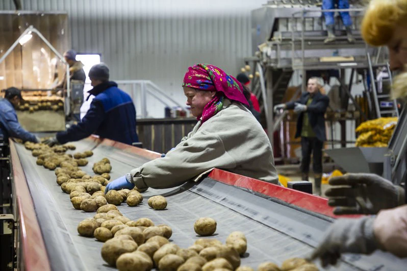 Александр Подгорчук