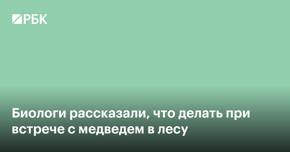 Биологи рассказали, что делать при встрече с медведем в лесу