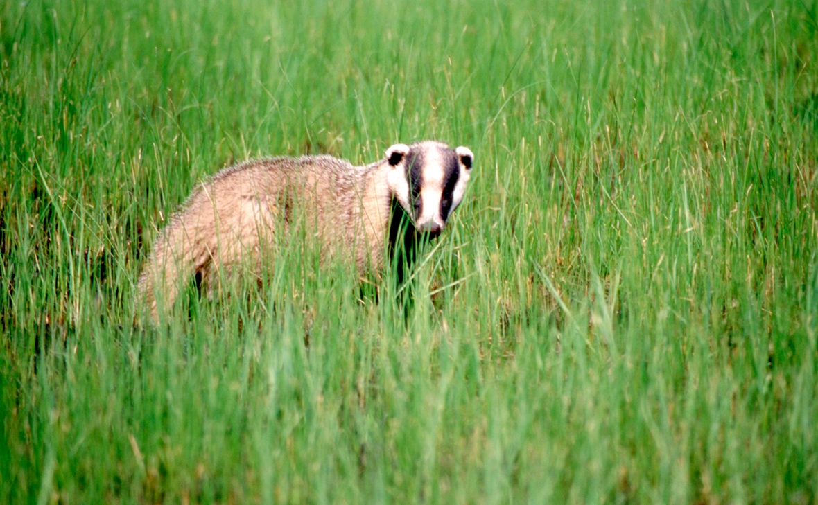 Константин Михайлов / Global Look Press