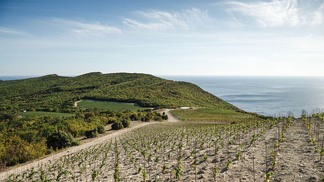 Самые необычные фотографии из книги «Время вина»