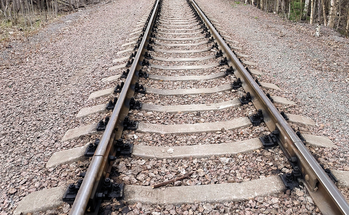 Максим Константинов / Global Look Press