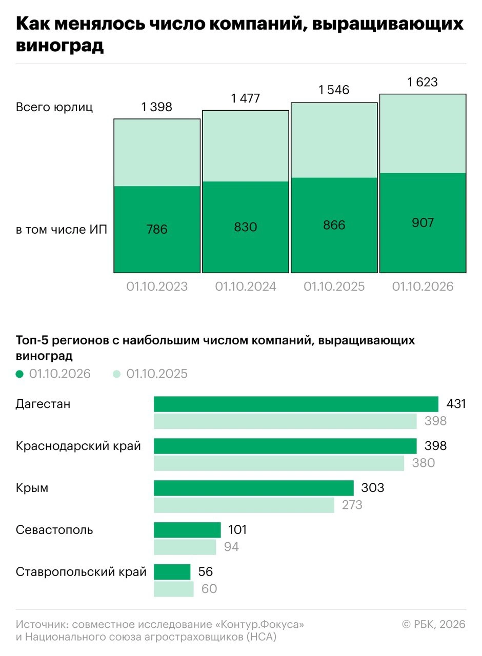 Винный парадокс: почему виноградарей все больше, а виноделен — меньше