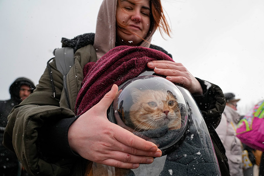 Женщина с котом на украинском пропускном пункте Паланка, расположенном на границе с Молдавией, 11 марта.
По данным УВКБ ООН на 25 марта, Украину покинули 3,8 млн человек