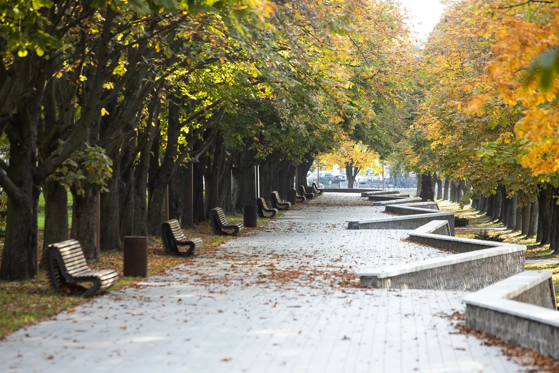 Александр Подгорчук
