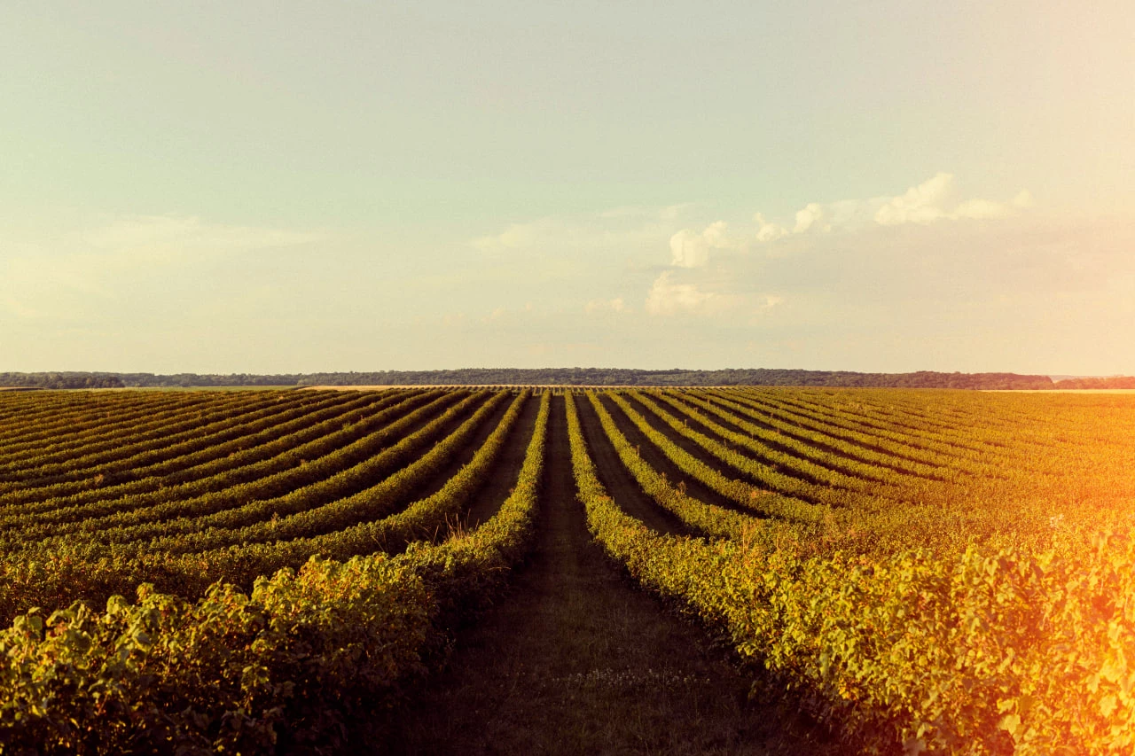 freepik.com