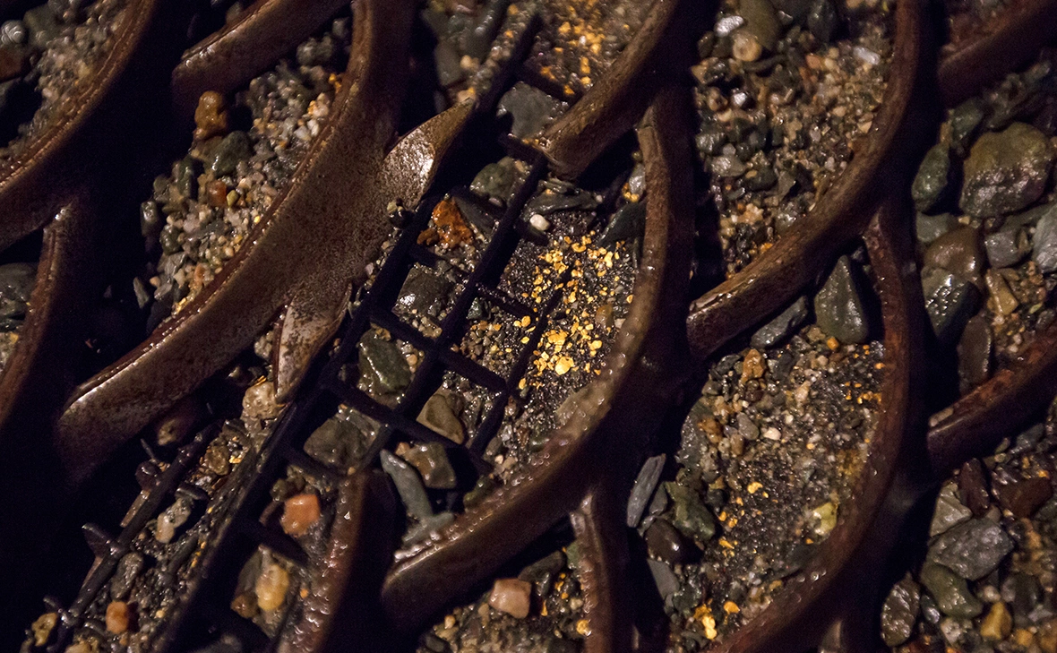 Игорь Агеенко / РИА Новости