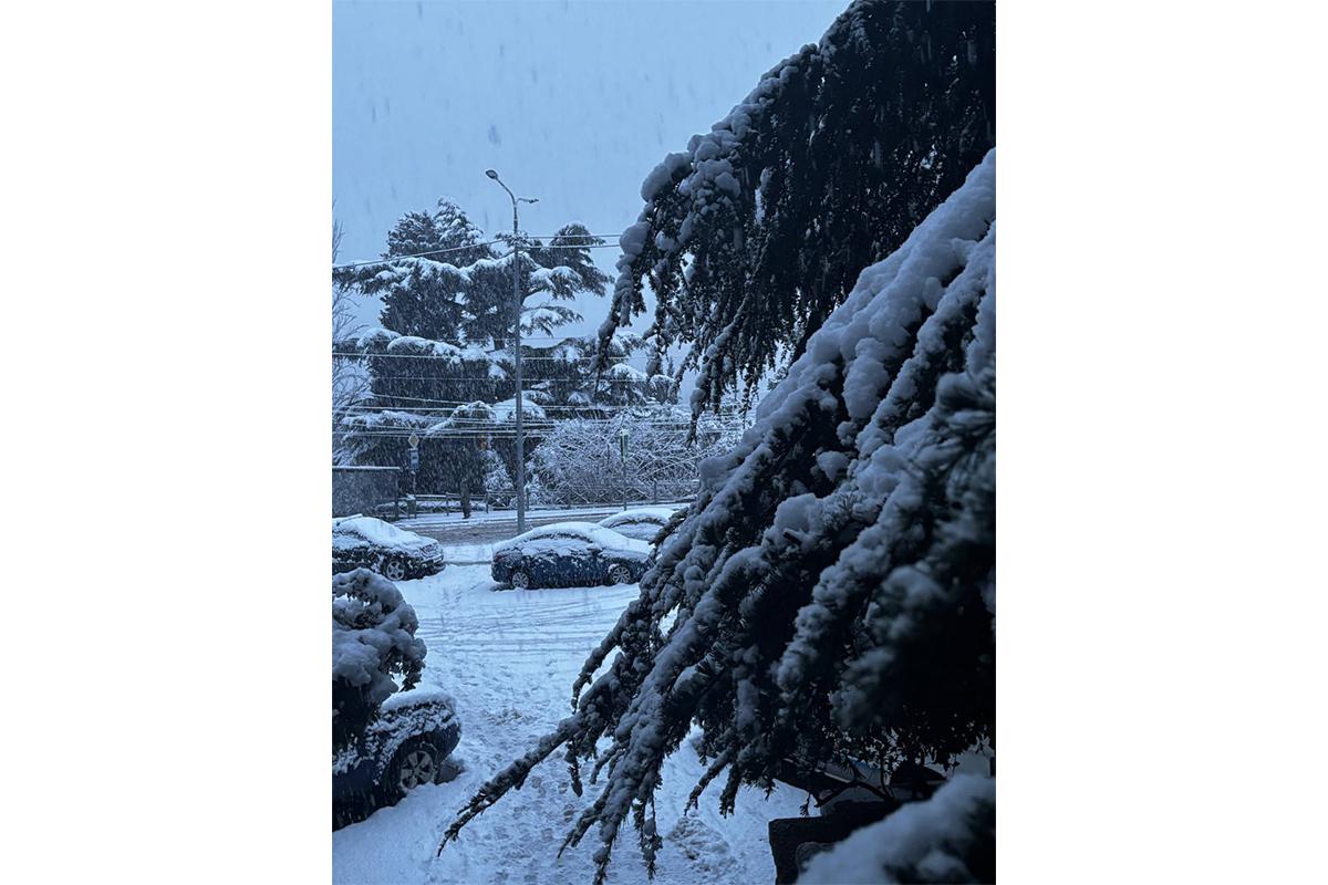 Cнегопад в Большой Ялте, 29 декабря 2025 года