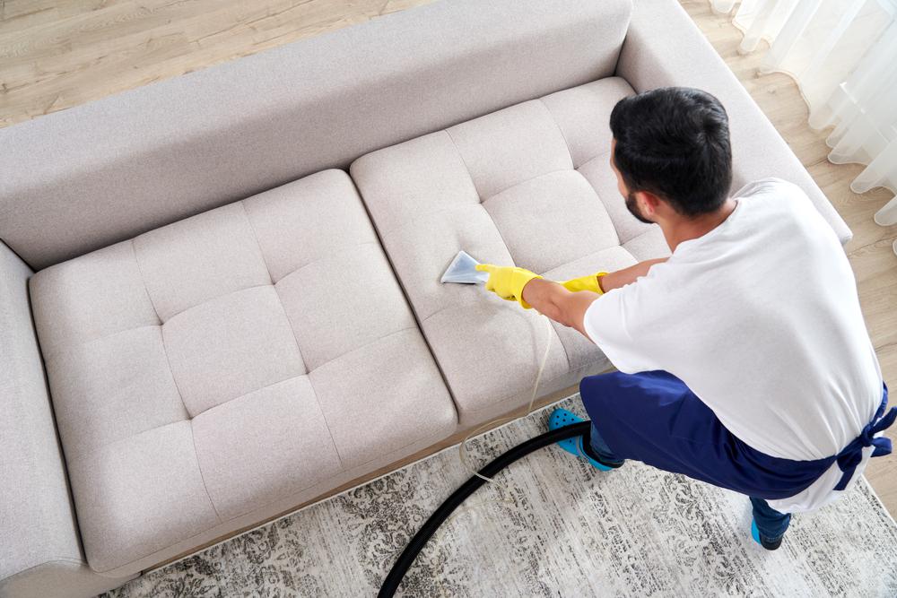 Основательно пропылесосьте диван со специальной насадкой для мягкой мебели
