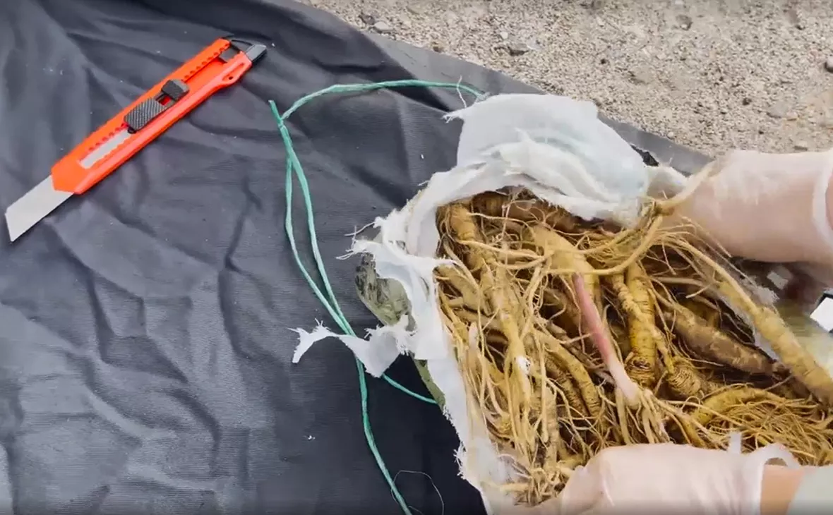 ЦОС ФСБ РФ / ТАСС