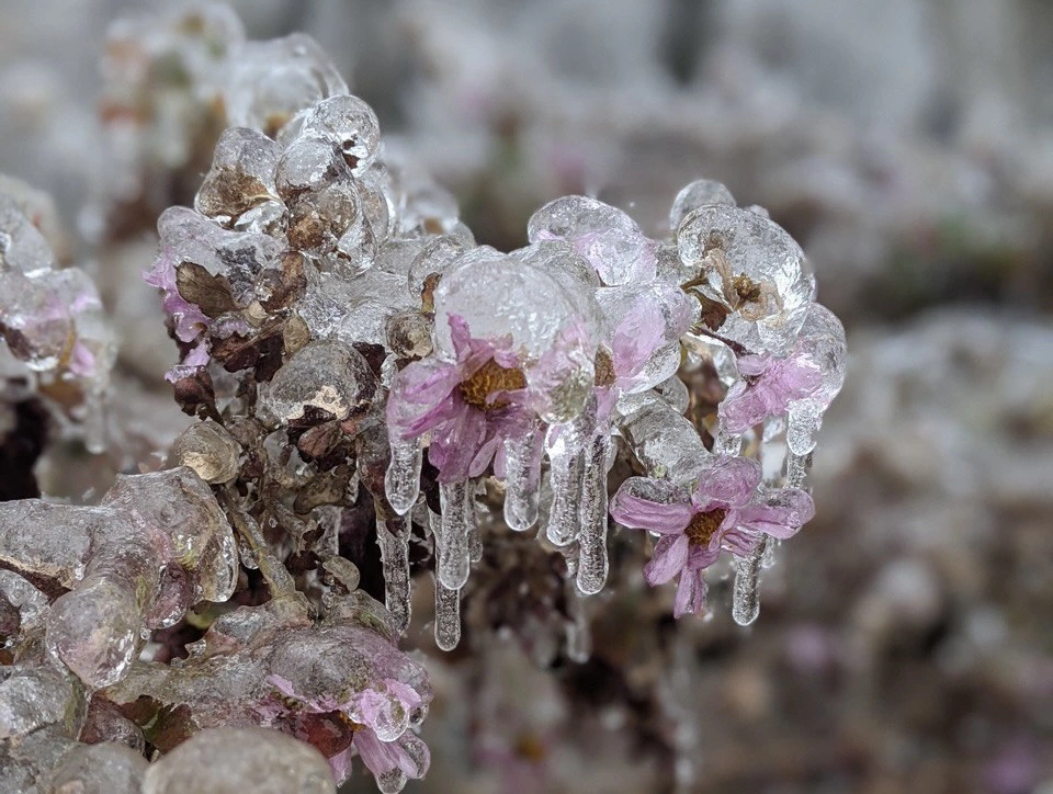 РБК Приморье