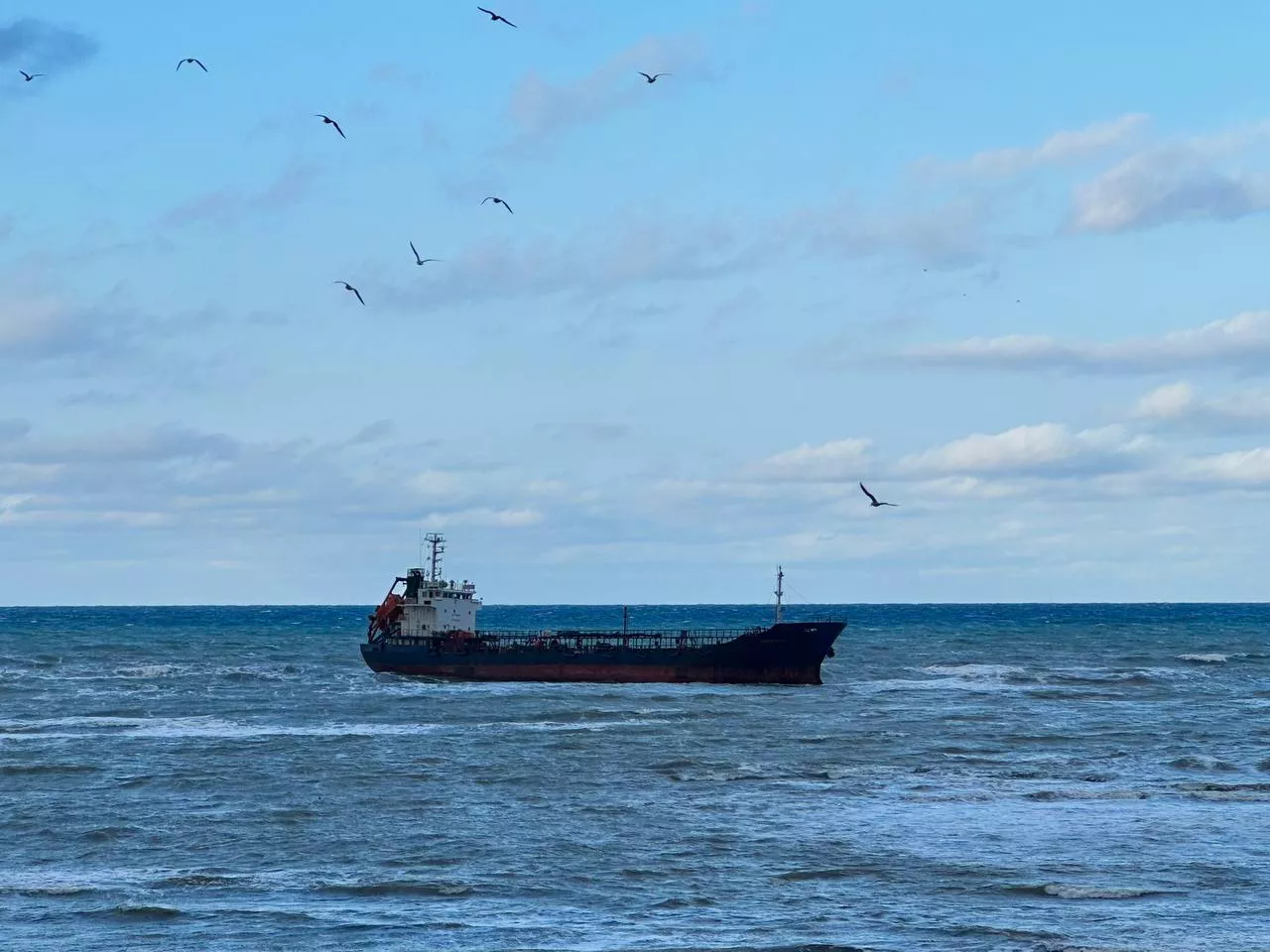 t.me/alexeyshabelnikofficial