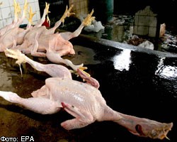 Россия снимает запрет на поставки мяса птицы из США
