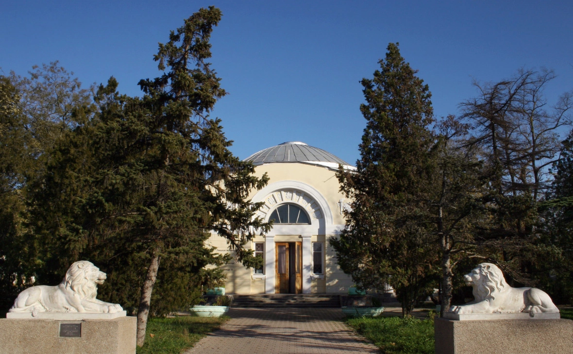 Сервер Амзаев / Global Look Press