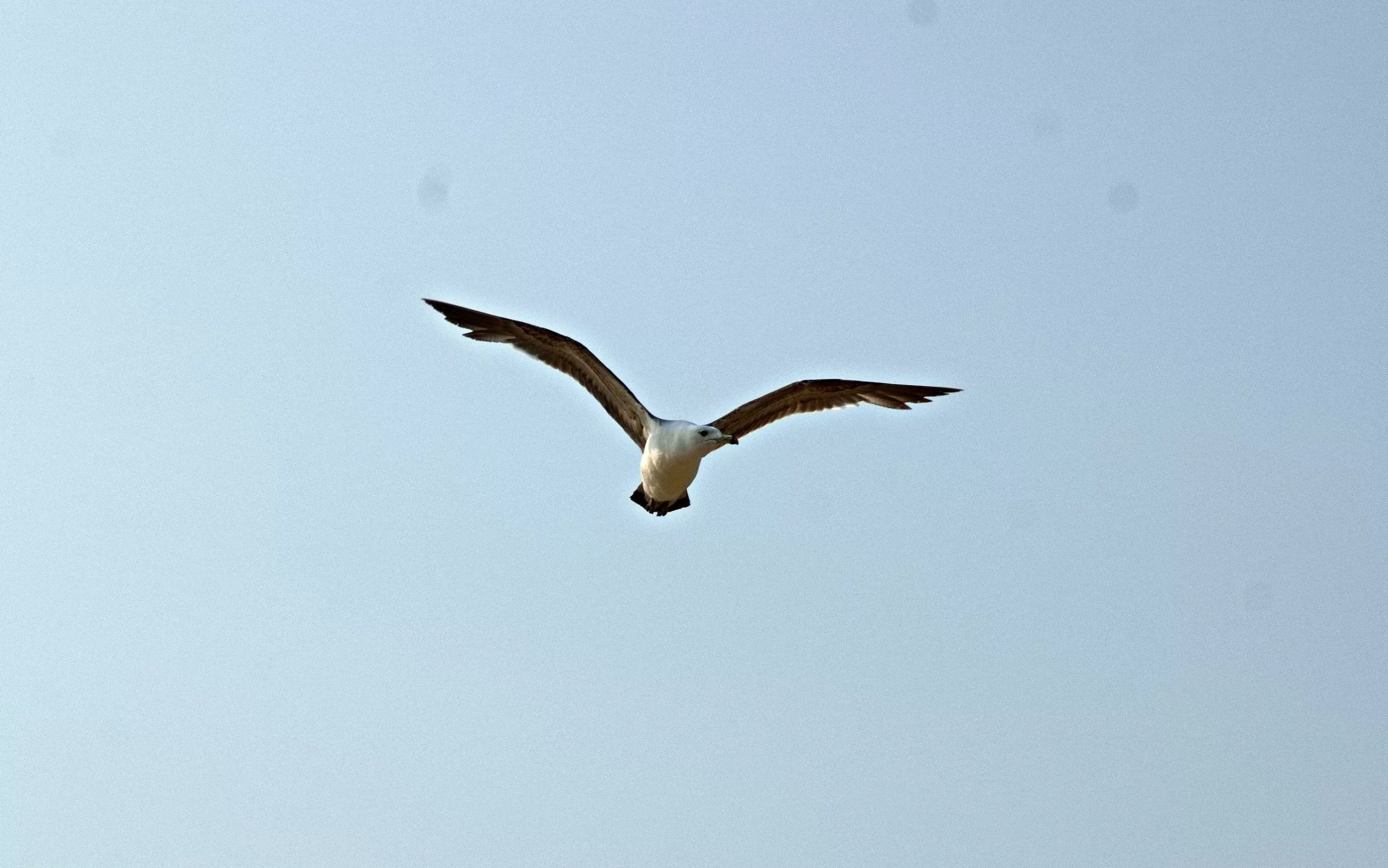 РБК Приморье