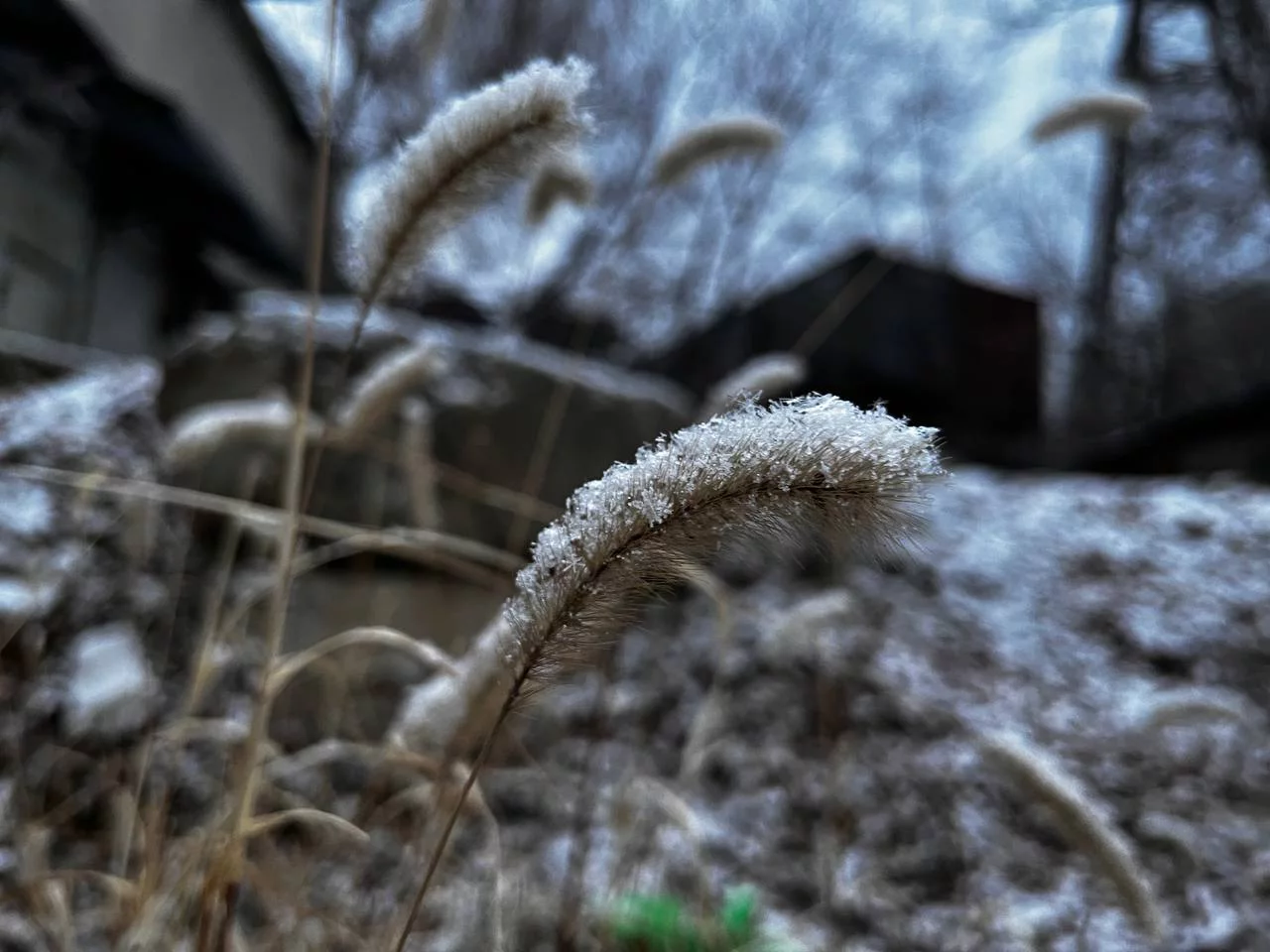 РБК Приморье