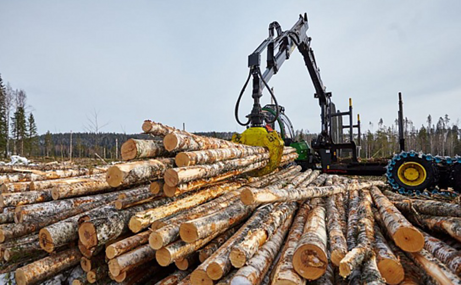 Лесная и деревообрабатывающая промышленность Кировской области