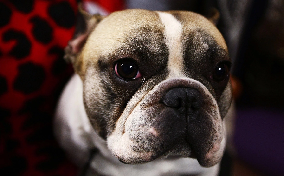 Chris McGrath / Getty Images