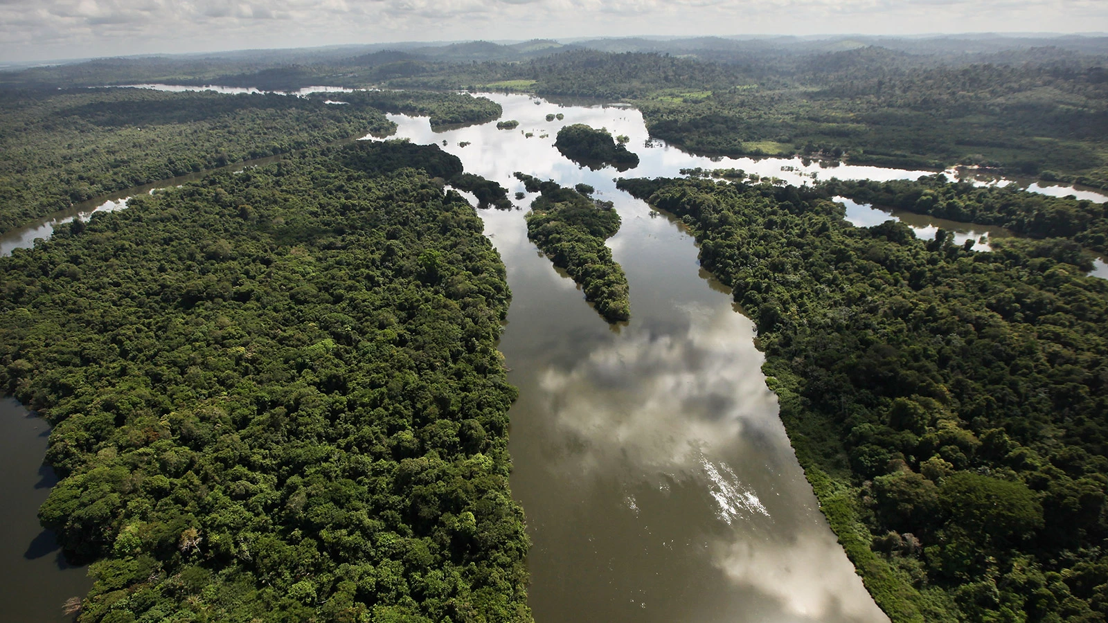 <p>Леса Амазонии</p>