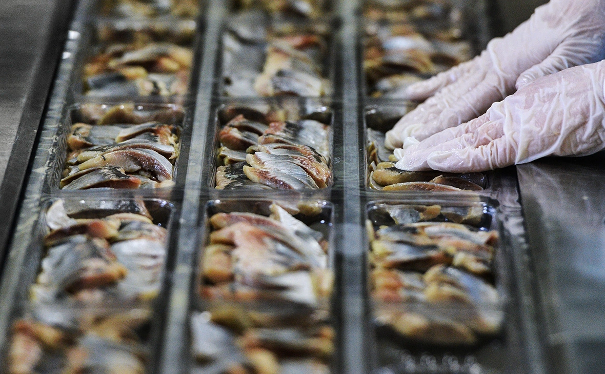 Алексей Филиппов / РИА Новости