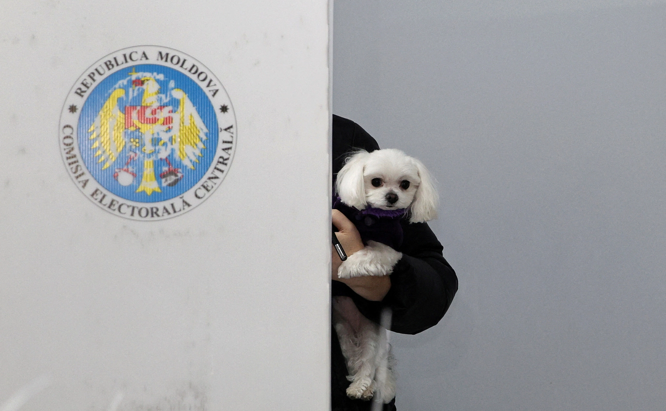 Vladislav Culiomza / Reuters